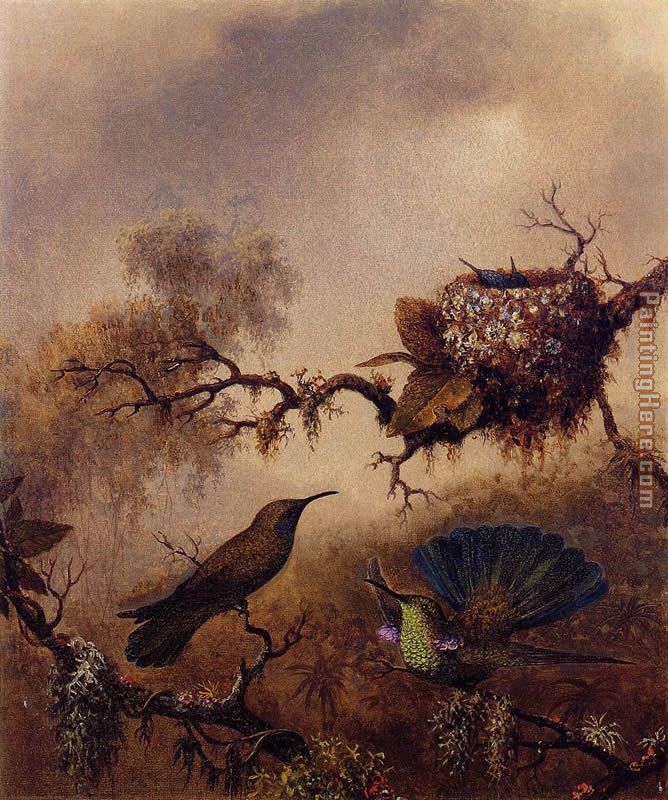 White-Vented Violet-Eared painting - Martin Johnson Heade White-Vented Violet-Eared art painting